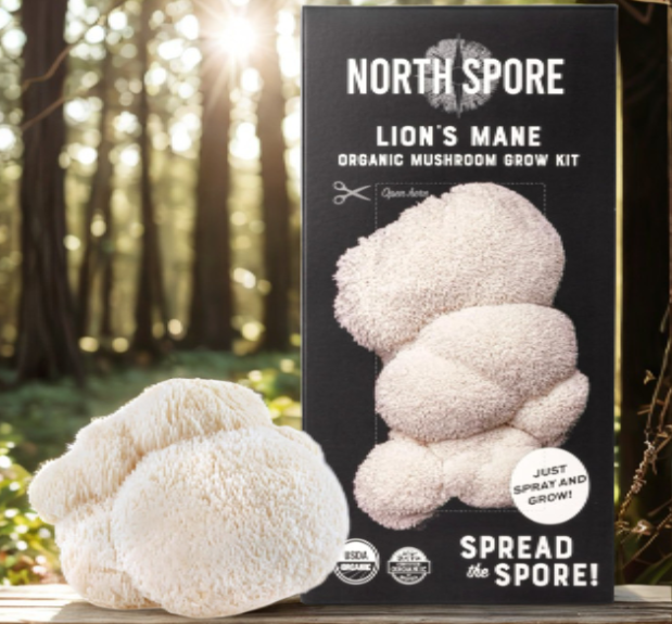Organic Lion's Mane Mushroom Grow Kit (4 lbs) | USDA Certified Organic & Non-GMO