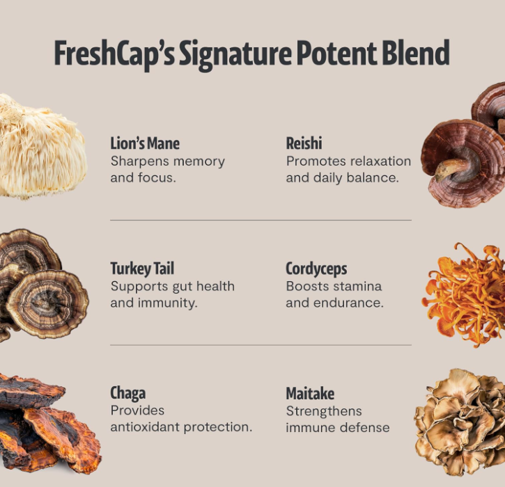 Premium Organic Mushroom Coffee – 12,000mg Fruiting Body Extract | 29% Beta-Glucans | Travel pack